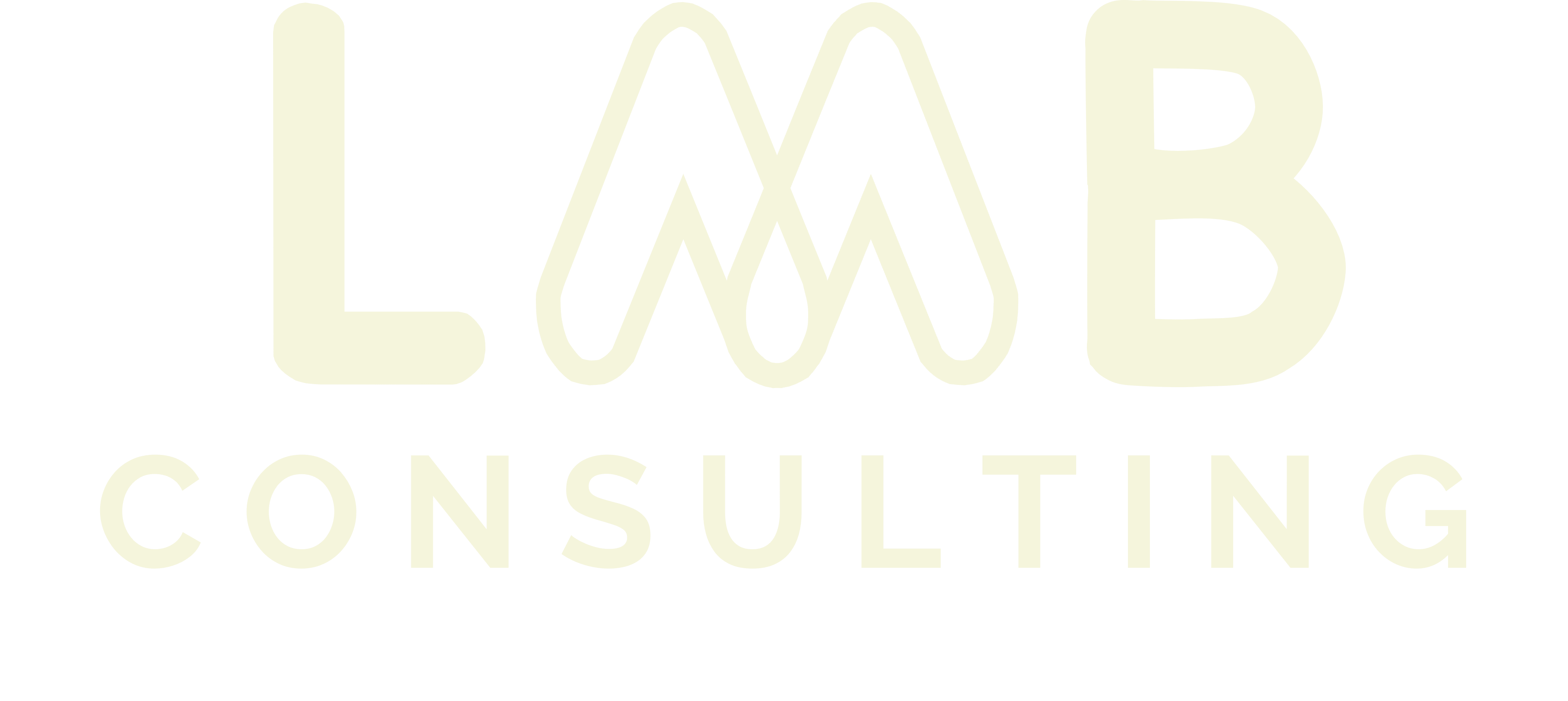 LMB Consulting